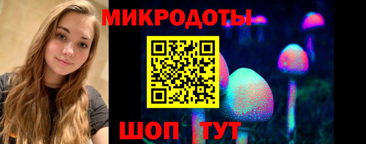 Псилоцибиновые грибы Cubensis  Галлюциногенные грибы Psilocybe  Мурино  Вход с VPN 